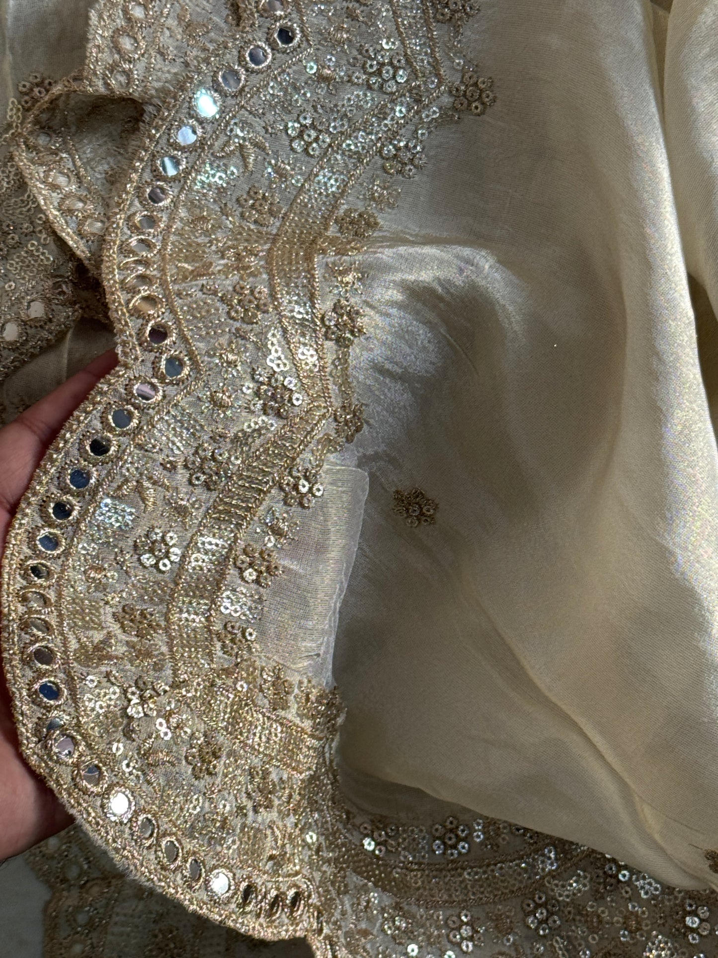 Tissue Cutwork Mirror Work Dupatta