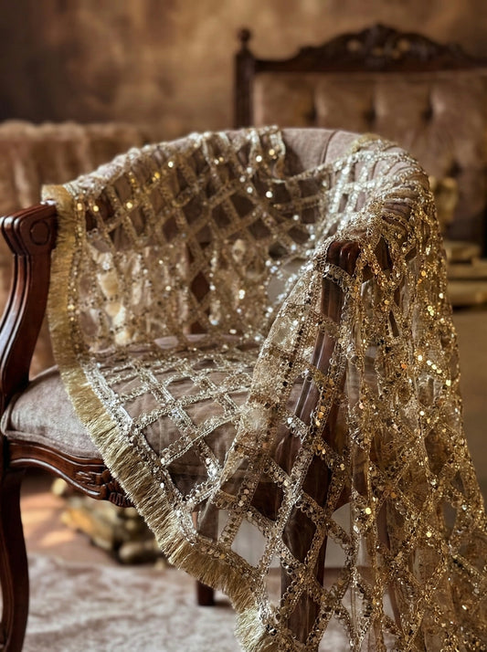 Golden Bollywood Style Mirror Work Dupatta with Fringe Border – Bridal & Wedding Wear