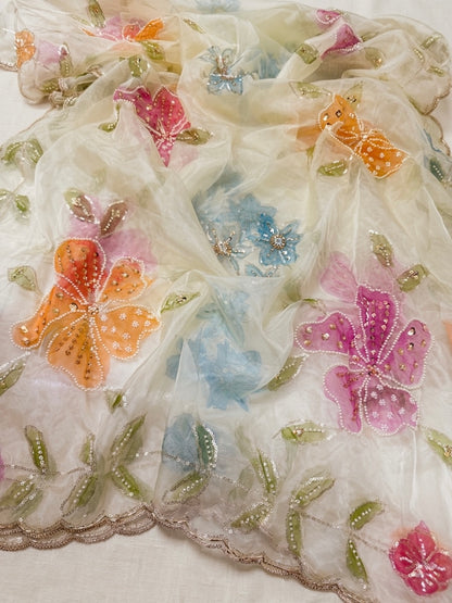 Handpainted Organza Dupatta with Pearls & Beads Work