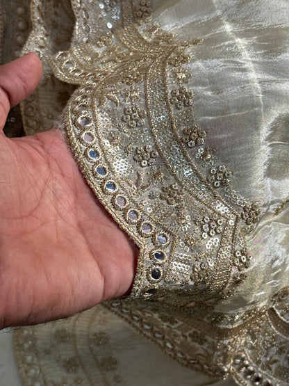 Tissue Cutwork Mirror Work Dupatta